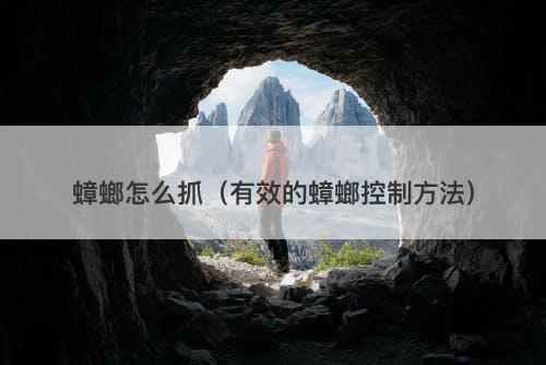 蟑螂怎么抓（有效的蟑螂控制方法）
