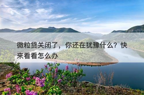 微粒贷关闭了，你还在犹豫什么？快来看看怎么办