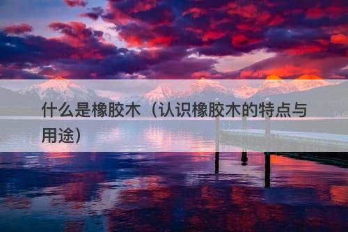 什么是橡胶木（认识橡胶木的特点与用途）