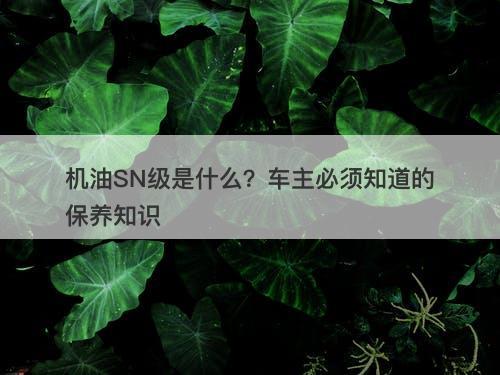 机油SN级是什么？车主必须知道的保养知识