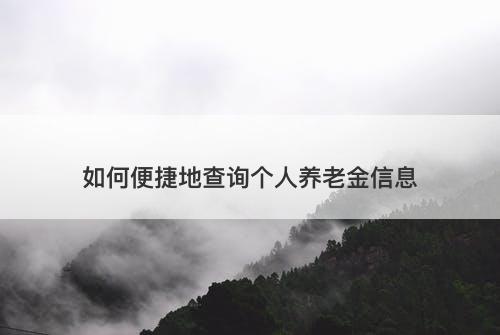 如何便捷地查询个人养老金信息