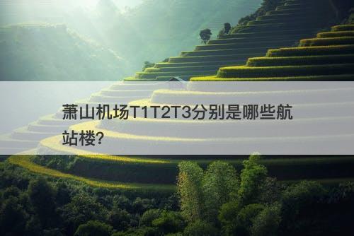 萧山机场T1T2T3分别是哪些航站楼？-图1