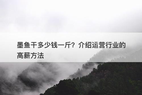 墨鱼干多少钱一斤？介绍运营行业的高薪方法