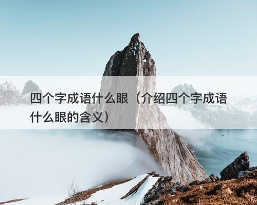 四个字成语什么眼（介绍四个字成语什么眼的含义）-图1