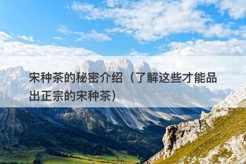 宋种茶的秘密介绍（了解这些才能品出正宗的宋种茶）