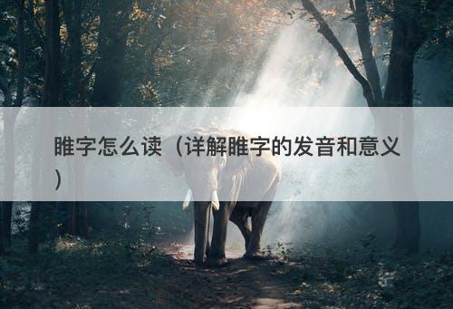 睢字怎么读（详解睢字的发音和意义）