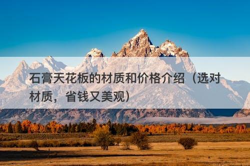 石膏天花板的材质和价格介绍（选对材质，省钱又美观）