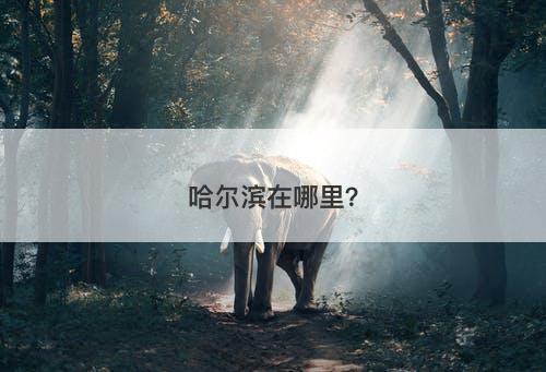 哈尔滨在哪里？-图1