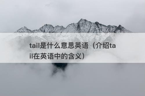 tail是什么意思英语（介绍tail在英语中的含义）