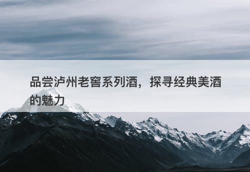 品尝泸州老窖系列酒，探寻经典美酒的魅力