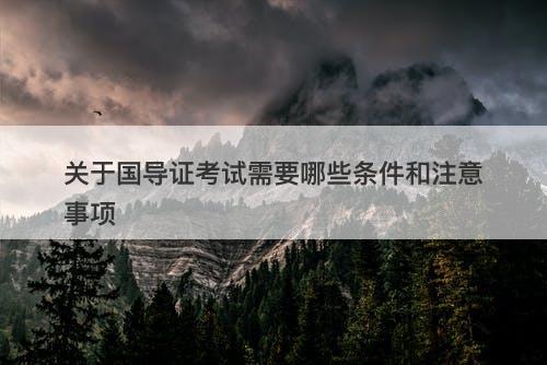 关于国导证考试需要哪些条件和注意事项