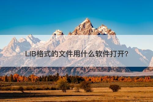 LIB格式的文件用什么软件打开？