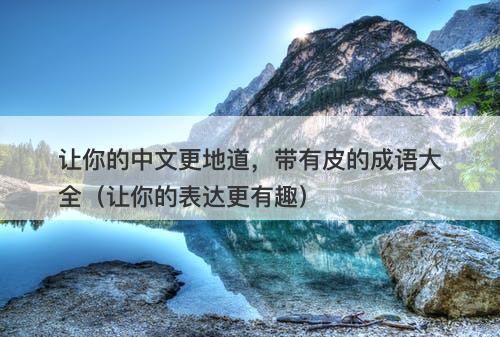 让你的中文更地道，带有皮的成语大全（让你的表达更有趣）