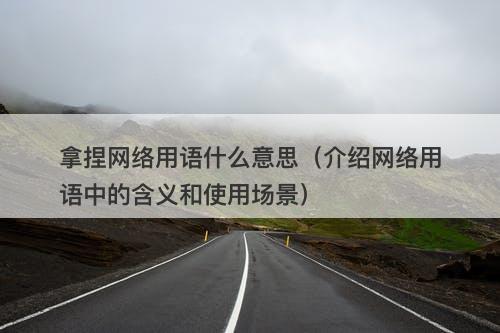 拿捏网络用语什么意思（介绍网络用语中的含义和使用场景）