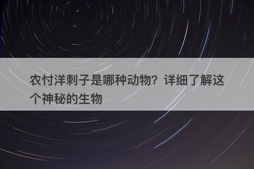 农忖洋刺子是哪种动物？详细了解这个神秘的生物