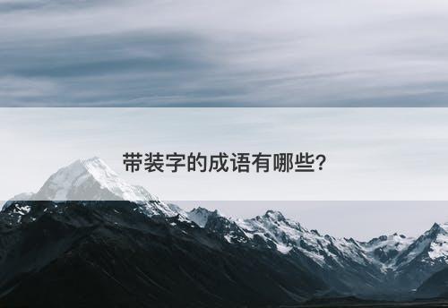 带装字的成语有哪些？
