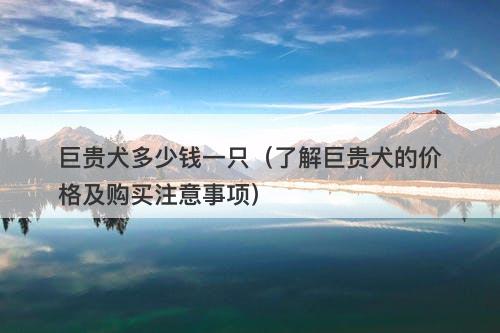 巨贵犬多少钱一只（了解巨贵犬的价格及购买注意事项）