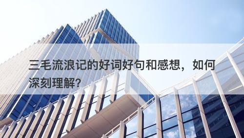 三毛流浪记的好词好句和感想，如何深刻理解？