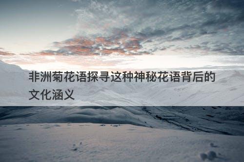 非洲菊花语探寻这种神秘花语背后的文化涵义