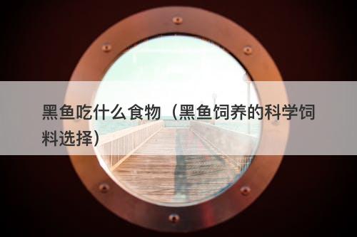 黑鱼吃什么食物（黑鱼饲养的科学饲料选择）-图1