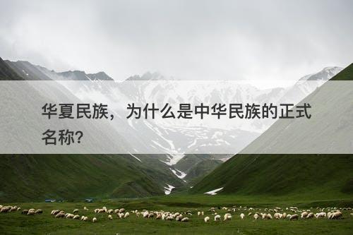 华夏民族，为什么是中华民族的正式名称？
