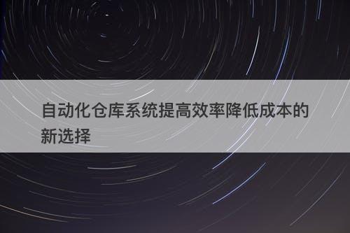 自动化仓库系统提高效率降低成本的新选择