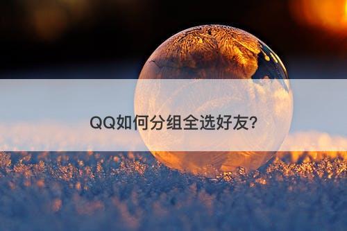 QQ如何分组全选好友？