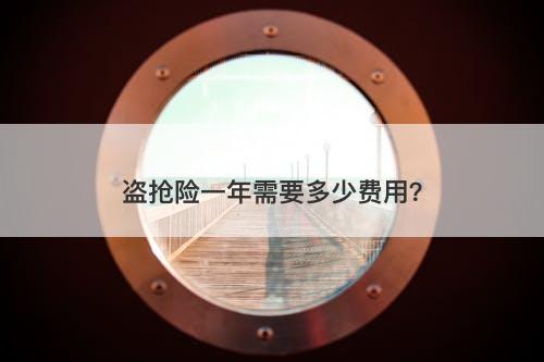 盗抢险一年需要多少费用？