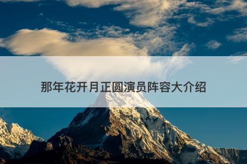 那年花开月正圆演员阵容大介绍
