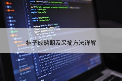 桔子成熟期及采摘方法详解