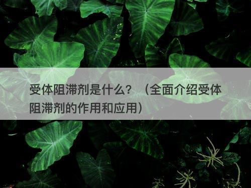 受体阻滞剂是什么？（全面介绍受体阻滞剂的作用和应用）