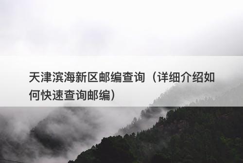 天津滨海新区邮编查询（详细介绍如何快速查询邮编）