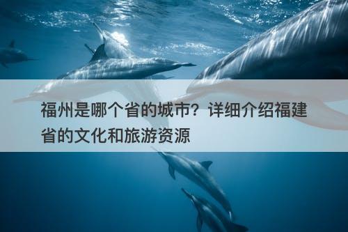 福州是哪个省的城市？详细介绍福建省的文化和旅游资源