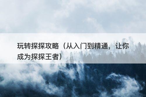 玩转探探攻略（从入门到精通，让你成为探探王者）
