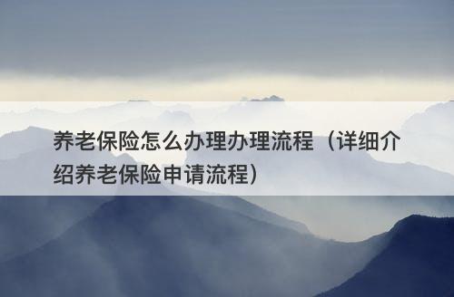 养老保险怎么办理办理流程（详细介绍养老保险申请流程）