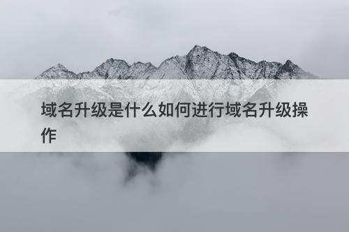 域名升级是什么如何进行域名升级操作