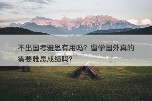 不出国考雅思有用吗？留学国外真的需要雅思成绩吗？