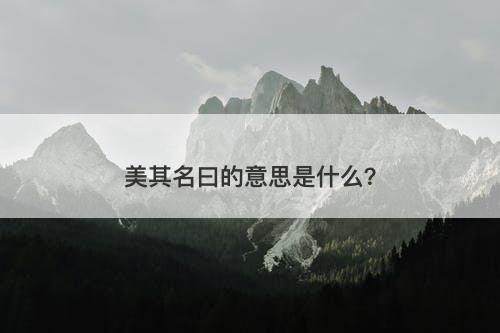美其名曰的意思是什么？