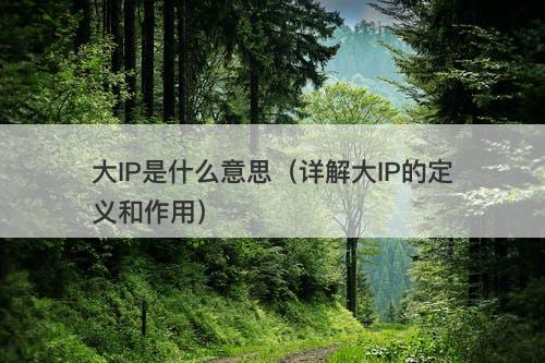 大IP是什么意思（详解大IP的定义和作用）