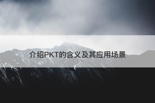 介绍PKT的含义及其应用场景