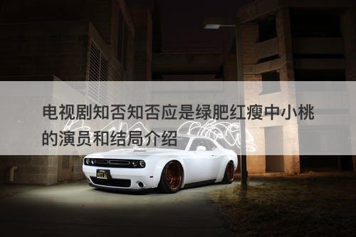 电视剧知否知否应是绿肥红瘦中小桃的演员和结局介绍