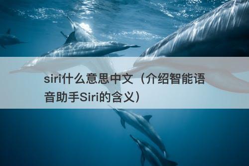 siri什么意思中文（介绍智能语音助手Siri的含义）