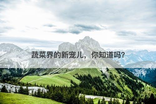 蔬菜界的新宠儿，你知道吗？
