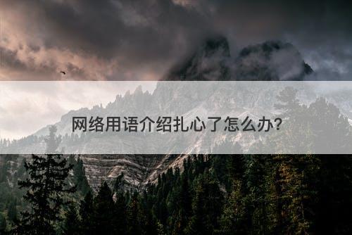 网络用语介绍扎心了怎么办？