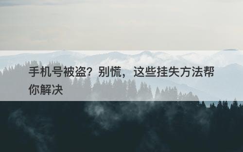 手机号被盗？别慌，这些挂失方法帮你解决