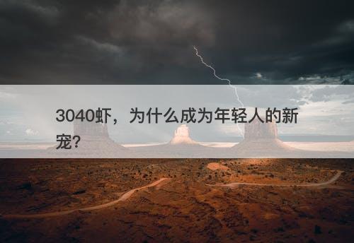 3040虾，为什么成为年轻人的新宠？-图1