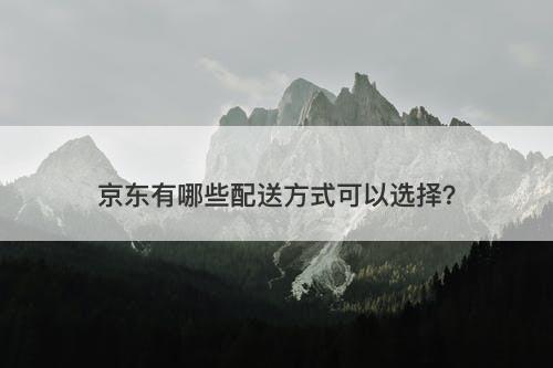 京东有哪些配送方式可以选择？