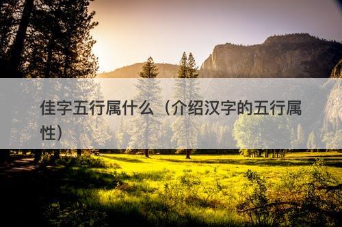 佳字五行属什么（介绍汉字的五行属性）