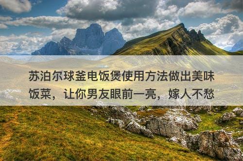 苏泊尔球釜电饭煲使用方法做出美味饭菜，让你男友眼前一亮，嫁人不愁