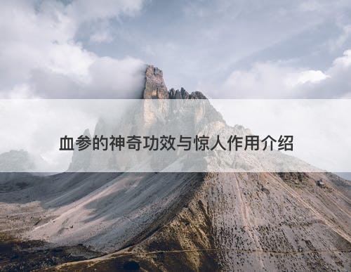 血参的神奇功效与惊人作用介绍